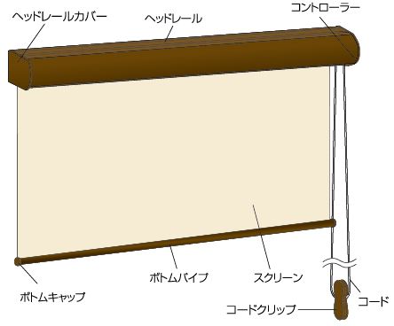 エクシヴ名称